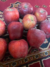 Fresh Afghan Apples