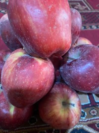 Fresh Afghan Apples