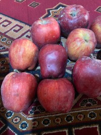 Fresh Afghan Apples