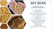 Soy Bean