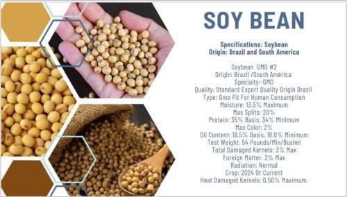 Soy Bean